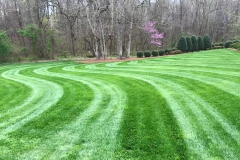 landscaping-contractors-Greensboro-North-Carolina